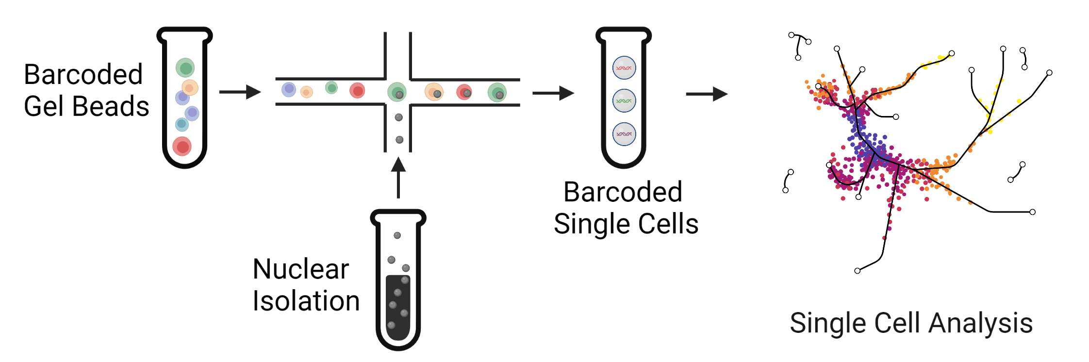 single_cell_overview